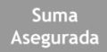 texto_suma_asegurada